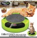 Feline Frenzy With Scratch Pad